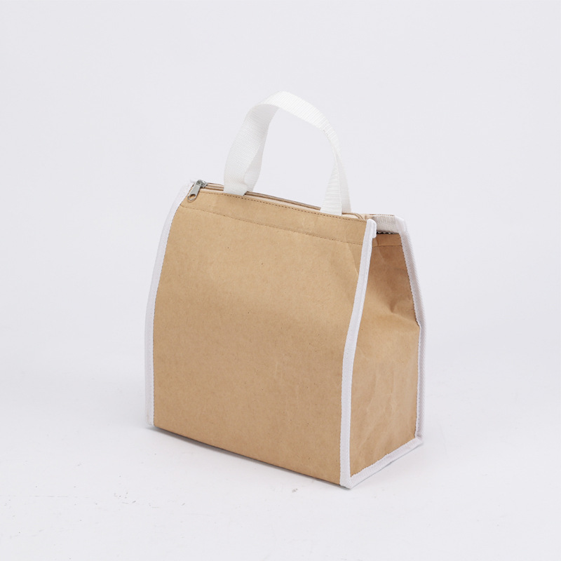 Borsa per il pranzo di carta isolata